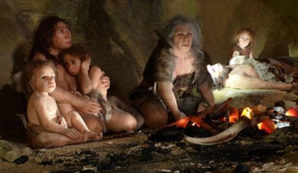 neandertaller niye yok oldu
