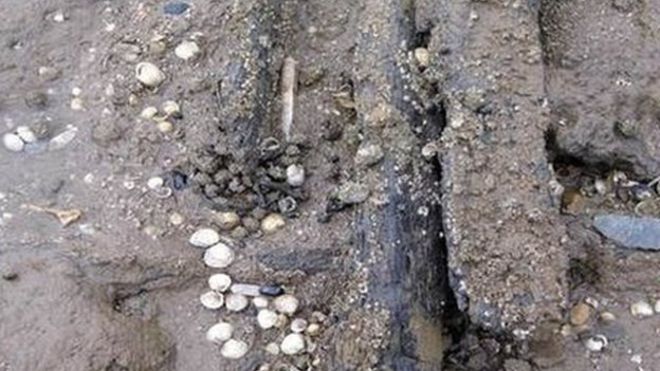 ingiltere sahil arkeoloji yüzey araştırması