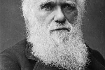Darwin’in “Türlerin Kökeni” Kitabı En Etkili Akademik Kitap Seçildi
