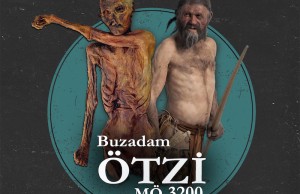 buzadam ötzi infografik