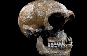 Neandertallerin Diyeti Yüzde 80 Et, Yüzde 20 Bitki Üzerine Kuruluydu